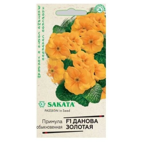 ���� ������. ������� 