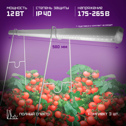 ���� ��������� ������� ������� ������� 12 W ����� 60 ��, 3 �� � ������, ������ �� 2174 ���