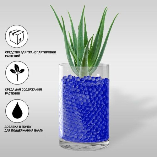 ���� ��������� ��� ������ 100��, �������, ������ �� 225 ���