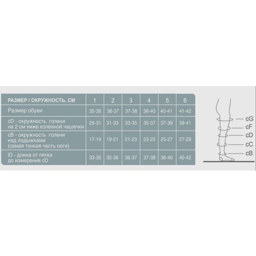   Ergoforma 211      , , 1 , : 2,    -     , -, 