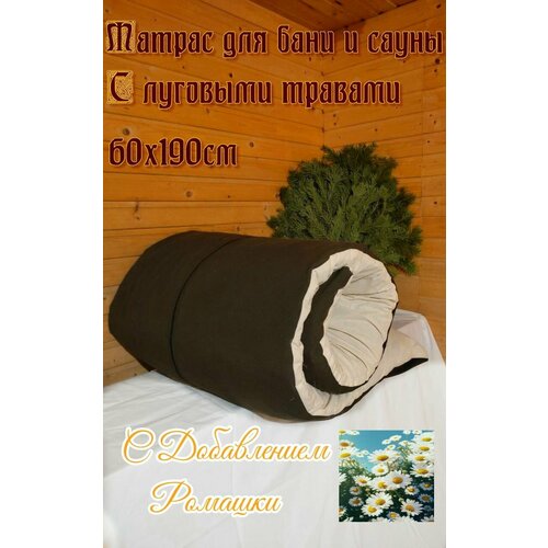 ���� SENO OK ������ ��� ���� � ����� � �������� ������� � ����������� �������, ������ �� 3490 ���