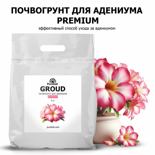 ���� ���������� Premium ������ 5 � ��� �������� � �������� ��������� ������� ��� ������������� �����, ������ �� 859 ���