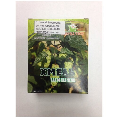 ���� ����� ������������, ����� (��������) 20�� ������ ���� (Humulus lupulus I.), ������ �� 230 ���