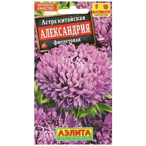 ���� ������ ����� 