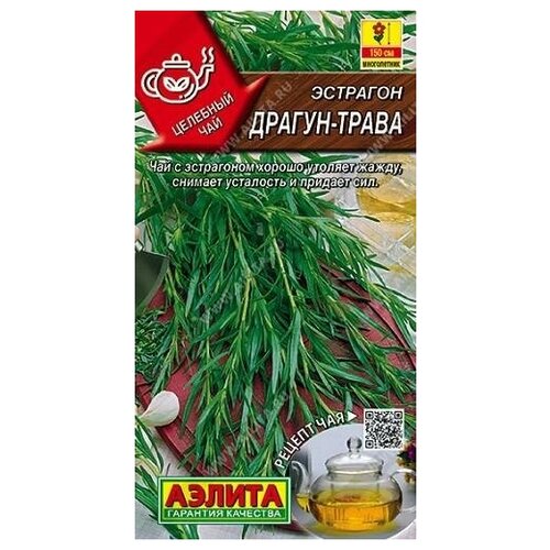 ���� ������. �������� 