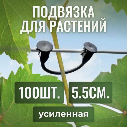 ���� �������� ��� ��������, ��������� ��� ������ �������, ������ ������ �� ��������� 