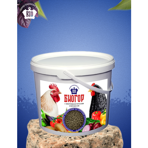 ���� ��������������� ��������� 