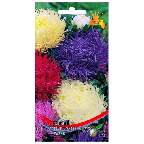 ���� ����� ���������������� ������ �����, 100 �����, ������ �� 234 ���