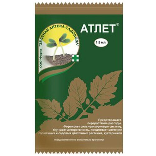 ���� ��������� ����� �������� 