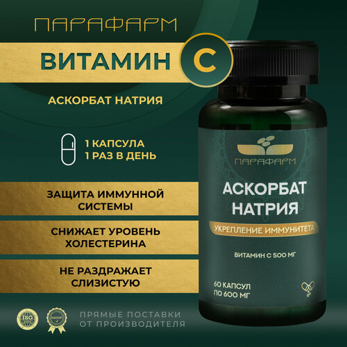 ���� ������� C �������� ������, ������ �� 560 ���