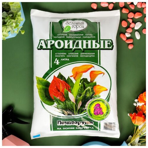 ���� ���������� ������� ����� �� ������ ��������� ��������, 4 �, 2 ��, ������ �� 445 ���