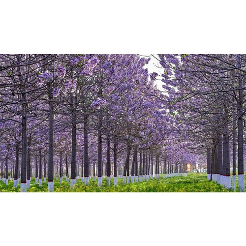 ���� ������ ��������� 