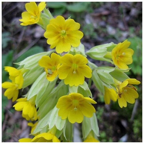 ���� ������ ������ ��������� �������� ������� 20 ��., ������ �� 350 ���