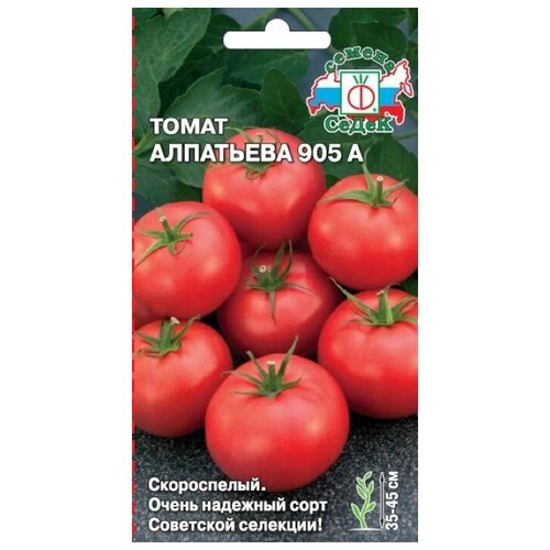 ���� ������ ����� 