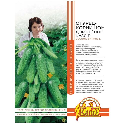 ���� ������ ���� ��������� �������� ������� ������-�������� �������� ���� F1, 10 ��., ������ �� 580 ���