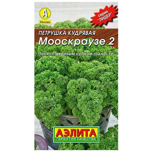 ���� ������ ������ 