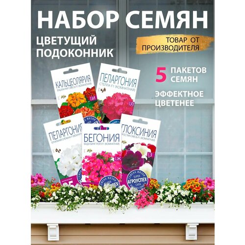 ���� ������ ��������� ������ ����� 5 ��, ������ �� 867 ���