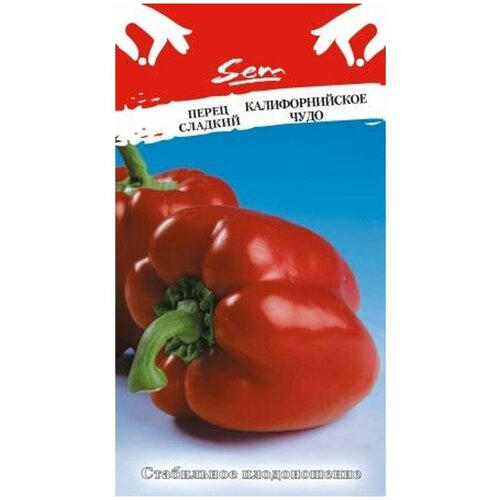 ���� ������ ����� �������������� ���� 0,3� (5-6��) (������� ������), ������ �� 39 ���