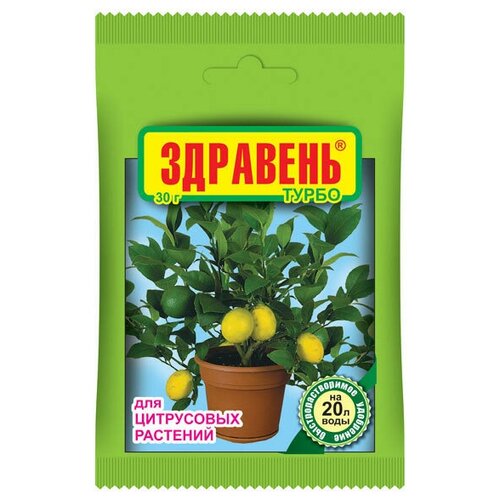 ���� ���� �������� �� ������� ����� 30��, ������ �� 339 ���