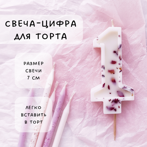 ���� ����� ��� ����� ����� 1, ������ ������, 1��, ������ �� 555 ���