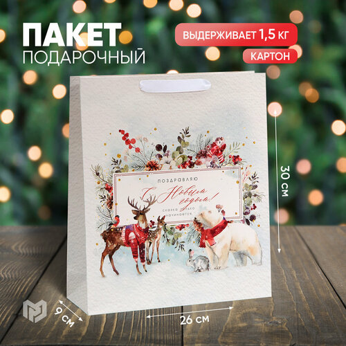 ���� ����� ���������� ����������� �����, M 30 � 26 � 9 ��, ����� ���, ������ �� 222 ���