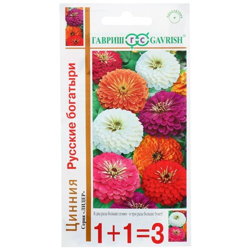 ���� ������ ������ ������ 1+1 