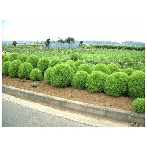 ���� ����� ���������, ������, ������ �� 430 ���