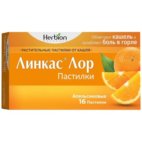 ���� ������ ��� ��������, 16 ��., ��������, ������ �� 175 ���