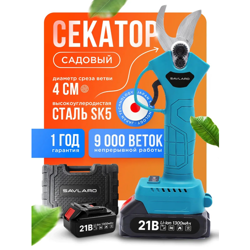 ���� ������� �������������� Savlaro, ������� �������� ��������������, �������������� ������� �������, �������, 1 ���, ������ �� 4199 ���