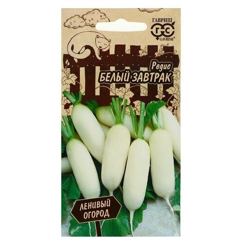 ���� ������ ����� 