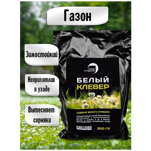 ���� ������ ���� ������� ����� ������, 1 �, 0.3 ��, ������ �� 979 ���