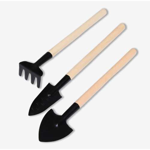 ���� ����� �������� �����������, 3 ��������: ������, 2 �������, ����� 24 ��, ���������� �����, ������ �� 363 ���