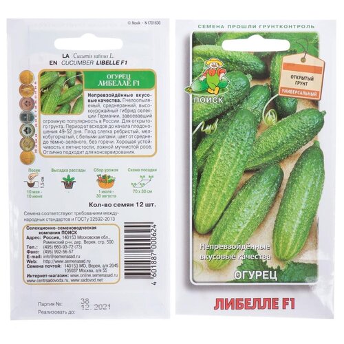 ���� ������ ������, ������� F1, 12 ��, ������� ��������, �����, ������ �� 213 ���