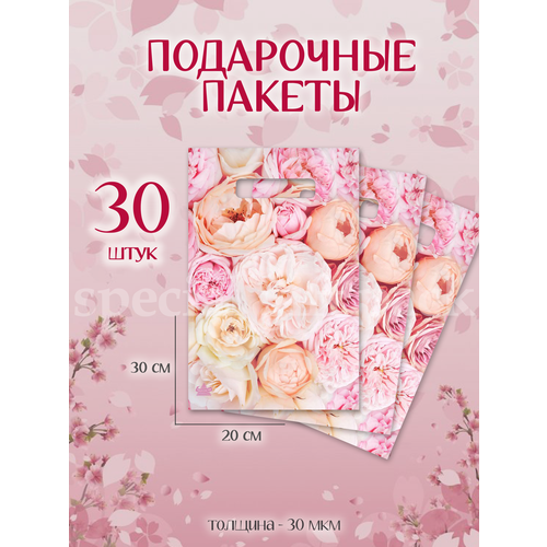 ���� ����� ���������� ������� � ������� 