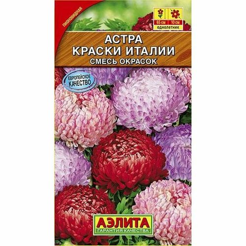 ���� ������. ����� 