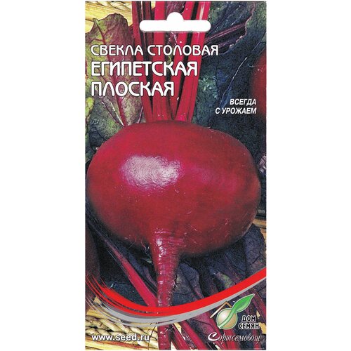 ���� ������ ���������� �������, 120 �����, ������ �� 235 ���