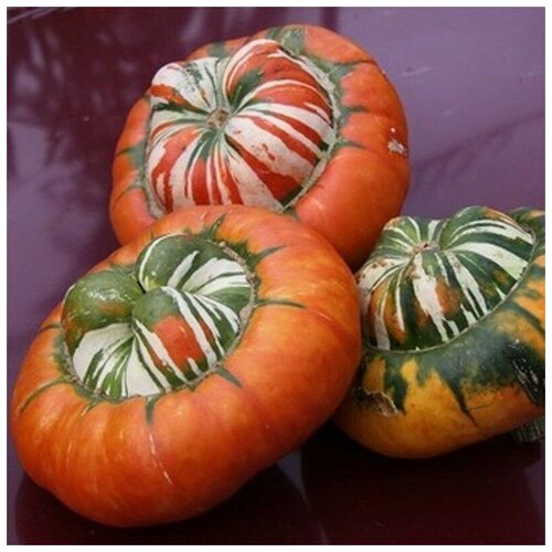 ���� ������ ������ ����� ������������ �������� ������ 5 ��., ������ �� 250 ���