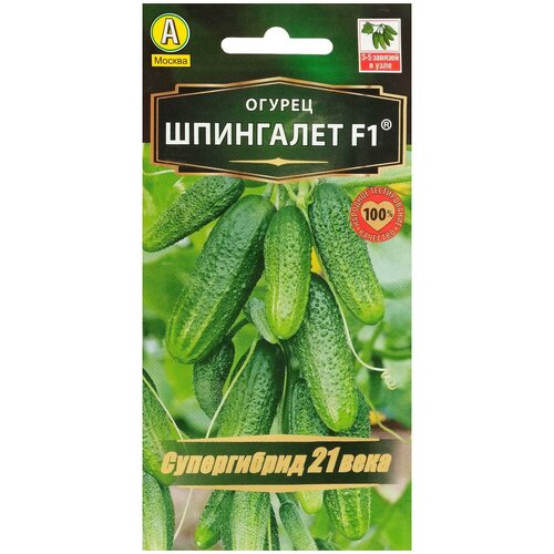 ���� ������ ������ 