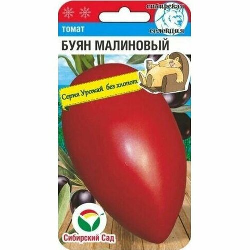 ���� ������ ����� ���� ��������� (�����������) ��. (��������� ���) 20��, ������ �� 52 ���