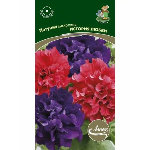 ���� ������ ������� �������� 