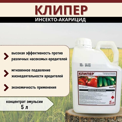 ���� ������, �� �������-�������� ��� ������ �� ���������� ( �� �������), ������ �� 16400 ���