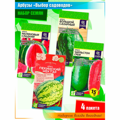 ���� ����� ����� ������� 