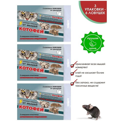 ���� ������� ������� - �������� ��� ����� / ������� ������� �� ����� ������� / ��������� �������� 3 ��, ������ �� 428 ���