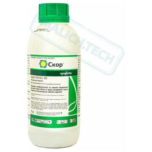 ���� ����, �� �������� (1 �), ������ �� 9000 ���