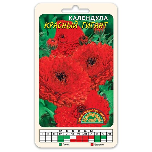 ���� ����� ��������� �������� ������� ������ (������ �������� ��� 0,3 �), ������ �� 56 ���