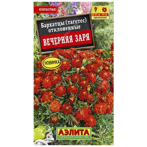 ���� ������. �������� ����������� 