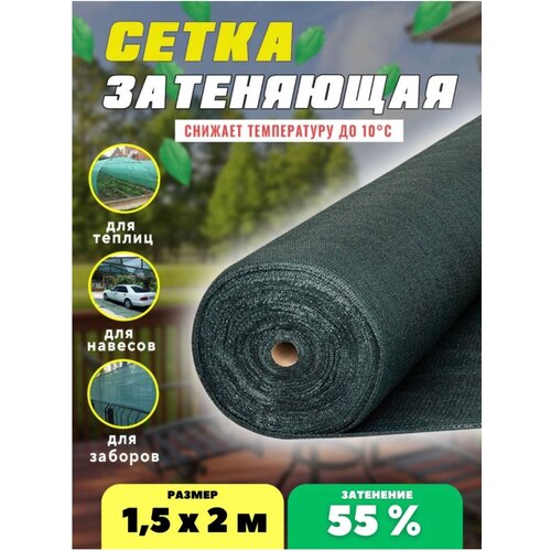 ���� ����� ���������� �������, ��������� 55%, ������ 1,5�2�, ������ �� 400 ���