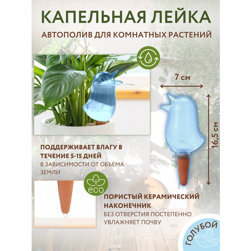 ���� ������� ������ ��������� ��������� ��������, ��������� �����, ������, ��������� �����, ������ �� 340 ���