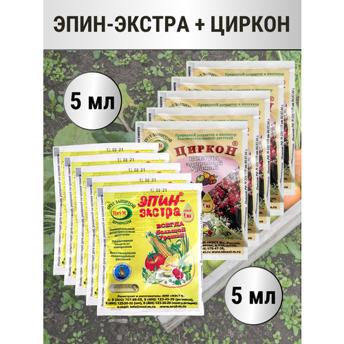 ���� ����-������ 1 �� + ������ � ������������� 1 ��, �������� 5+5, ������ �� 464 ���