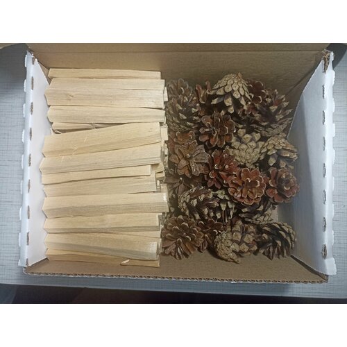 ���� ����� ��� �������� 